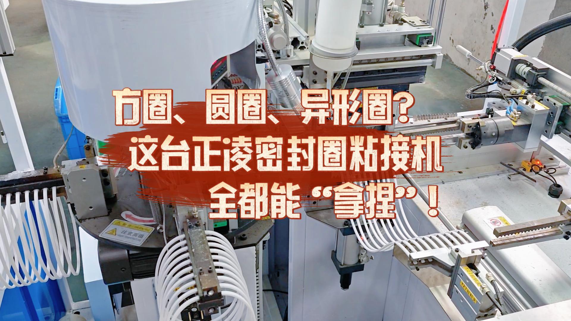 方圈、圓圈、異形圈？這臺全自動化密封圈粘接機全都能“拿捏”！